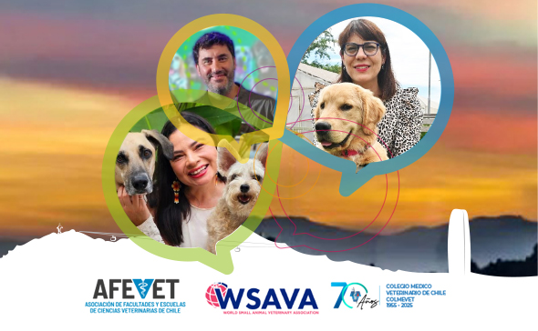 el vínculo humano-animal desde una mirada científica